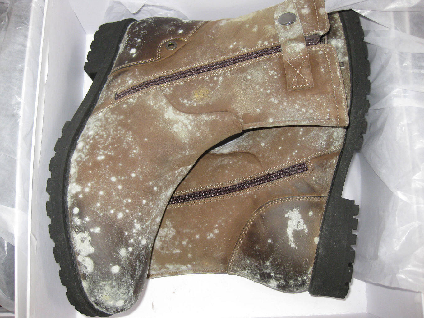 供应水性白乳胶防霉剂，鞋材面料贴合胶水添加型防霉剂iHeir-JS